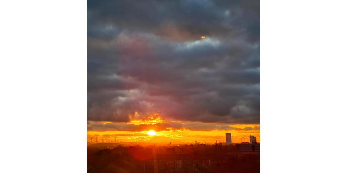 Einfamilienhaus Braunschweig Heidberg-Melverode - 2 Zimmer, 55 m&sup2;, 825&euro; | Angebot:25256926