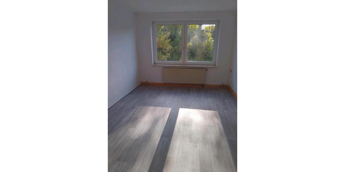 Etagenwohnung Belgern-Schildau Schildau - 2 Zimmer, 52 m&sup2;, 220&euro; | Angebot:26533428