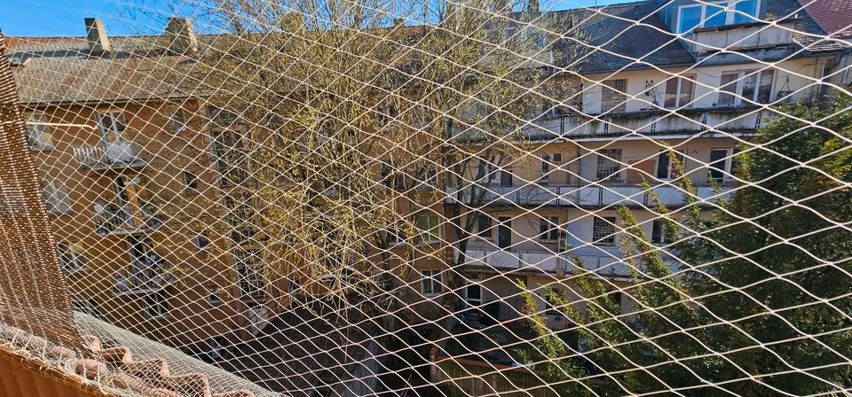 Dachgeschoßwohnung Hettstadt - 1 Zimmer, 41 m&sup2;, 470&euro; | Angebot:25350093