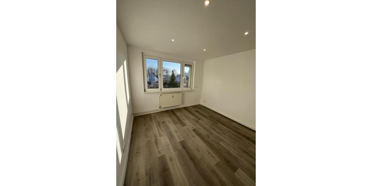 Hochwertige 3-Zimmer Wohnung in Greifswald Eldena zum 01.04. zu vermieten 3 zimmer