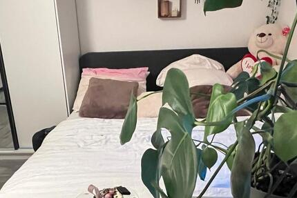 Wohnen auf Zeit Aachen Aachen-Mitte - 3 Zimmer, 95 m&sup2;, 400&euro; | Angebot:26699125