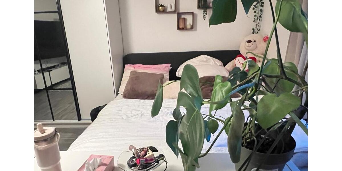 Wohnen auf Zeit Aachen Aachen-Mitte - 3 Zimmer, 95 m&sup2;, 400&euro; | Angebot:26699125