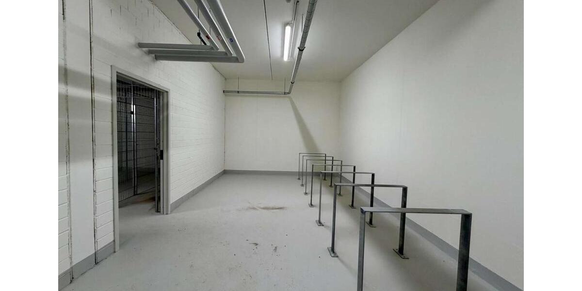 Etagenwohnung Markkleeberg - 4 Zimmer, 114 m&sup2;, 2.278&euro; | Angebot:24393538