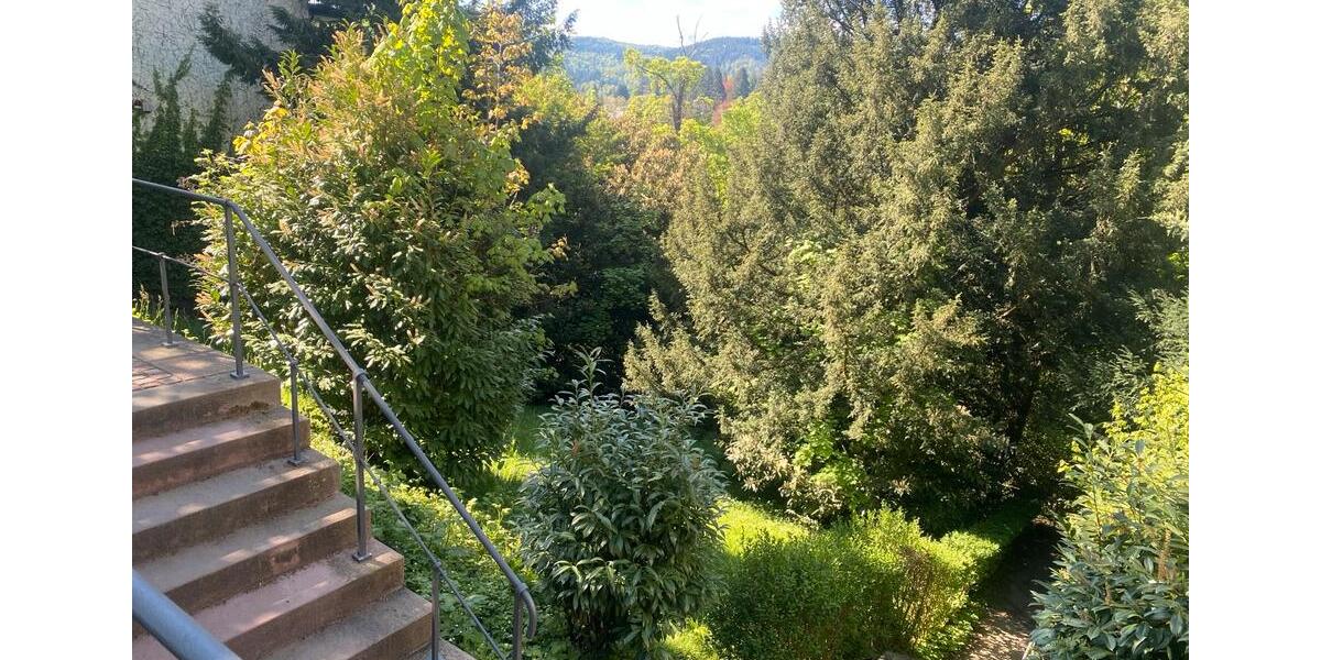 Wohnen auf Zeit Baden-Baden Balg - 1.5 Zimmer, 45 m&sup2;, 1.050&euro; | Angebot:26257802