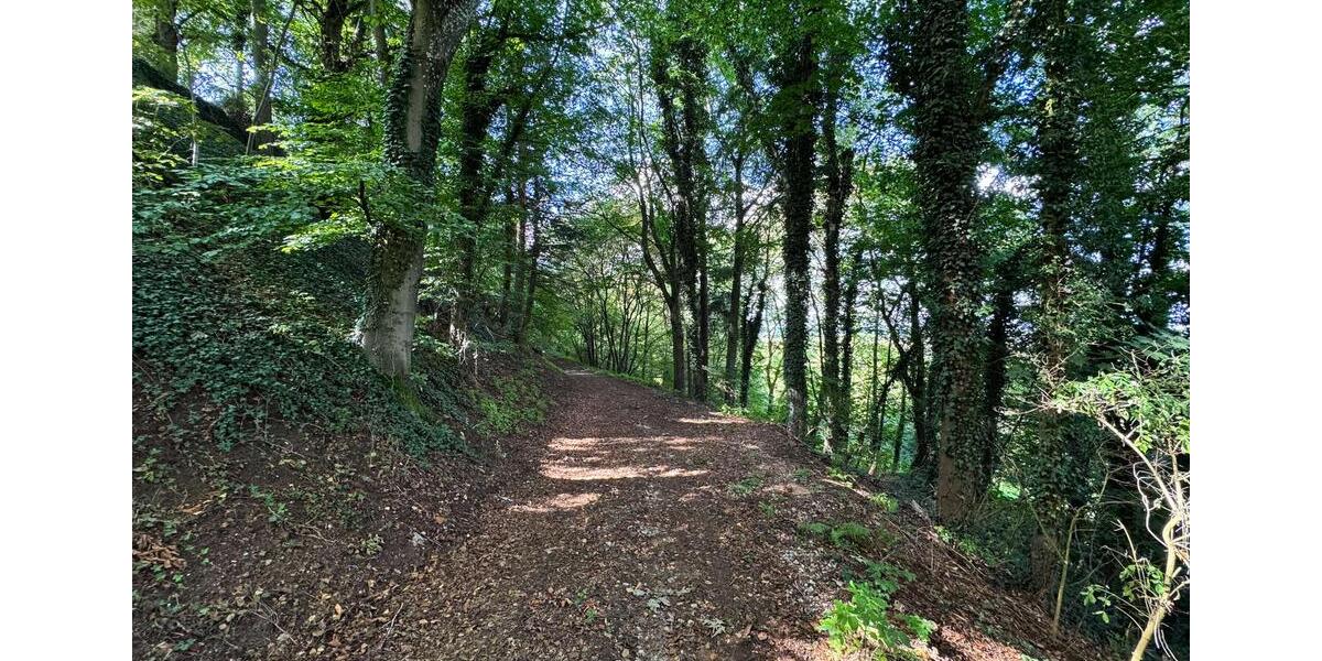 Gewerbeobjekt Thalmässing - 4.600&euro; | Angebot:22533305