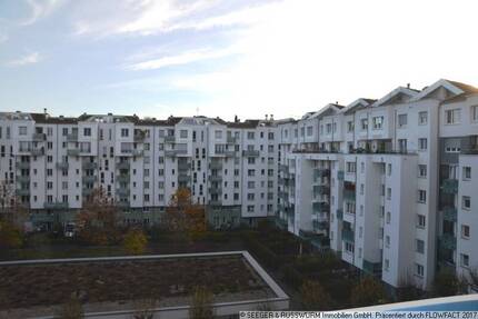 SingleWohnung in zentraler Lage!