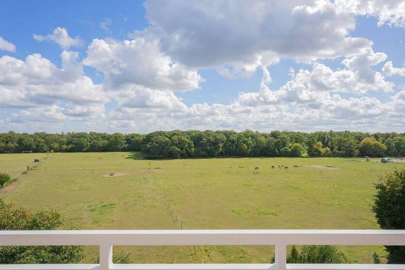 Randgebiet Düsseldorf: Wunderschöne 2,5 Zimmer-Penthousewohnung mit umlaufender Dachterrasse! 2 zimmer