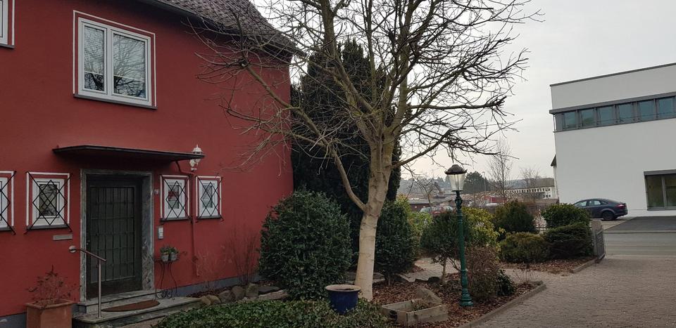 Einfamilienhaus Frankenberg (Eder) - 5.5 Zimmer, 165 m&sup2;, 1.100&euro; | Angebot:25947836