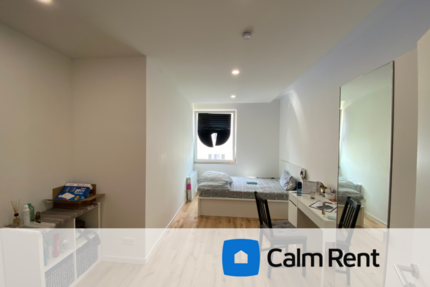 Wohnung Nürnberg Eberhardshof - 1 Zimmer, 15 m&sup2;, 490&euro; | Angebot:27732638