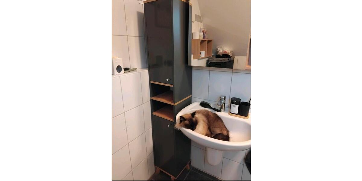 Etagenwohnung Greven - 2 Zimmer, 55 m&sup2;, 520&euro; | Angebot:24896160