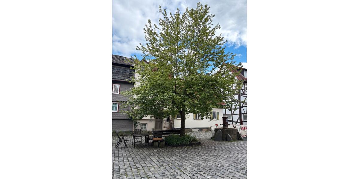 Etagenwohnung Alsfeld - 3 Zimmer, 75 m&sup2;, 900&euro; | Angebot:26611116