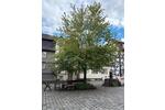 Etagenwohnung Alsfeld - 3 Zimmer, 75 m&sup2;, 900&euro; | Angebot:26611116