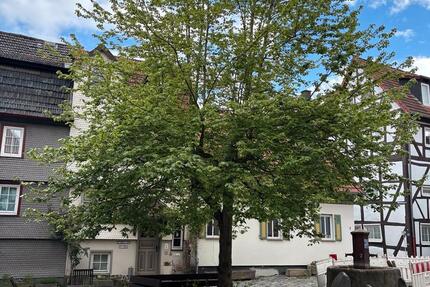 Wohnung Alsfeld - 3 Zimmer, 75 m&sup2;, 900&euro; | Angebot:26611116