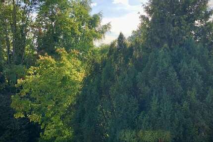 Wohnung München Bogenhausen - 3 Zimmer, 83 m&sup2;, 1.900&euro; | Angebot:27031392