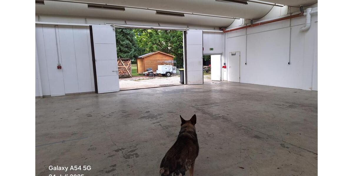 Gewerbeobjekt Übach-Palenberg Palenberg - 2.105&euro; | Angebot:24819273