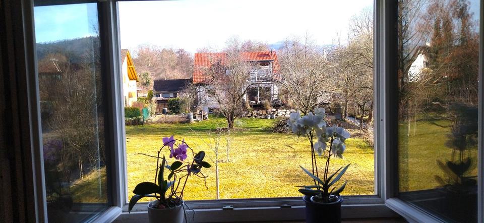 Wohnen auf Zeit Bollschweil - 1 Zimmer, 20 m&sup2;, 480&euro; | Angebot:24736582