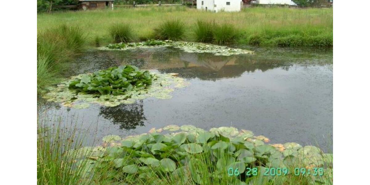 Einfamilienhaus Weilerbach - 7 Zimmer, 144 m&sup2;, 950&euro; | Angebot:24673529