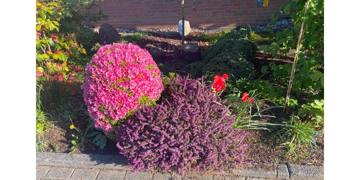 Hochwertige 3-Zimmerwohnung Dortmund Sommerberg mit Südloggia 3 zimmer