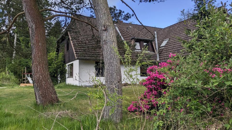 Dachgeschoßwohnung Bispingen - 2 Zimmer, 41 m&sup2;, 320&euro; | Angebot:26597752