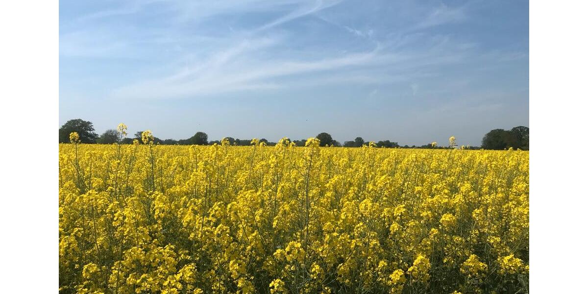 Wohnen auf Zeit Greven - 2 Zimmer, 50 m&sup2;, 80&euro; | Angebot:25903731