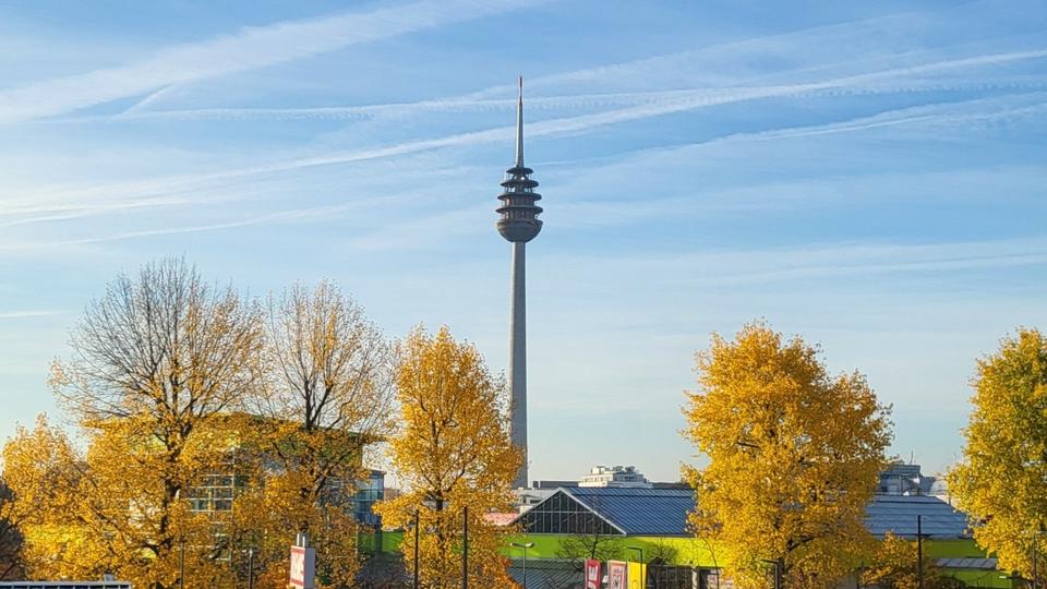 Erdgeschoßwohnung Nürnberg Sankt Leonhard - 1 Zimmer, 26 m&sup2;, 595&euro; | Angebot:23916530