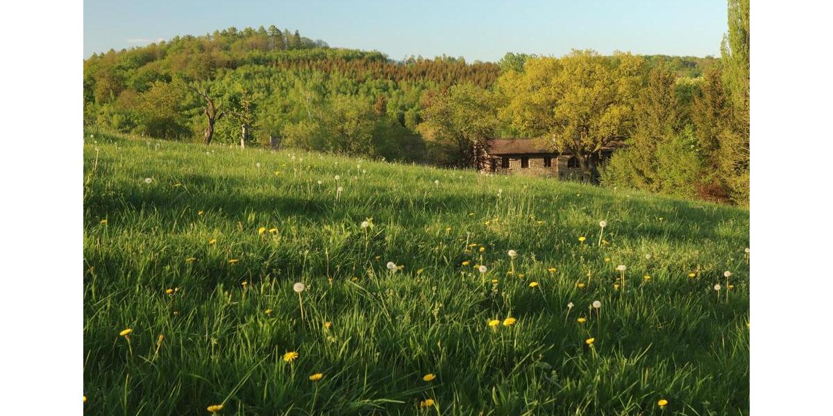 Etagenwohnung Bad Lauterberg im Harz - 3 Zimmer, 180 m&sup2;, 950&euro; | Angebot:25401794