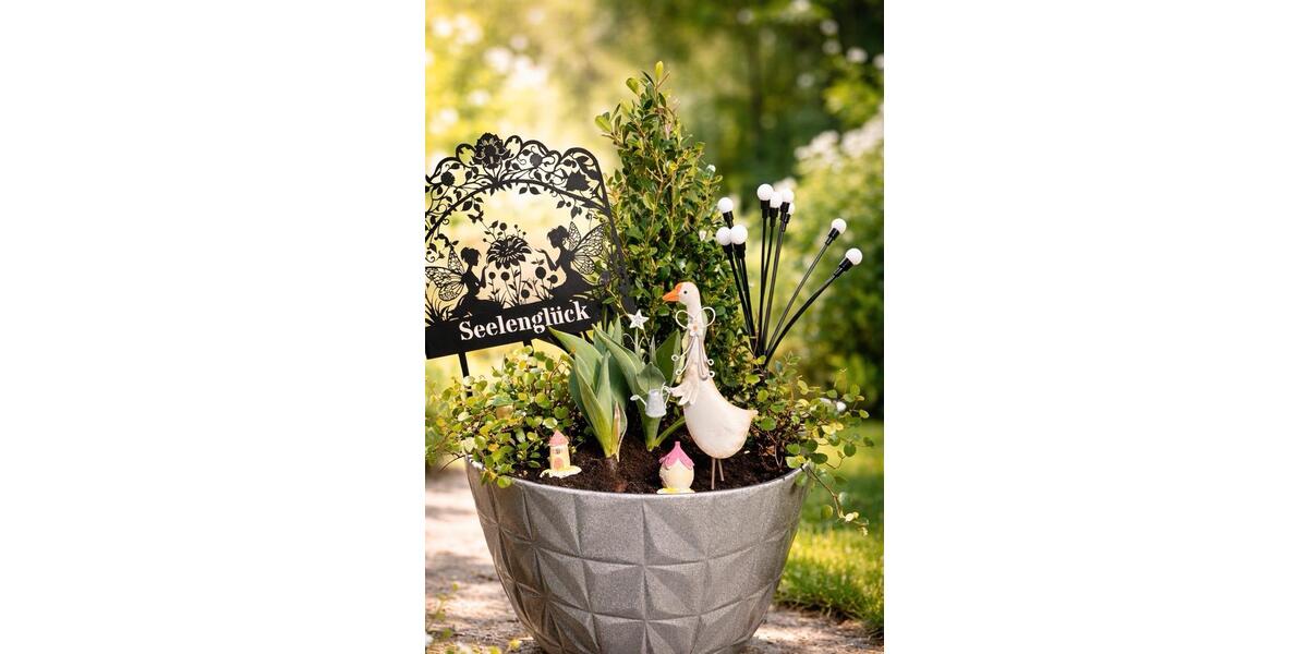 Wohnen auf Zeit Bad Harzburg - 2 Zimmer, 40 m&sup2;, 49&euro; | Angebot:25274931