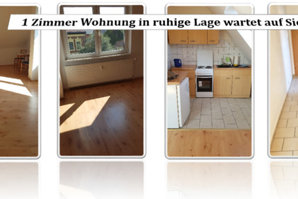 Wohnung Oschersleben (Bode) - 4 Zimmer, 75 m&sup2;, 250&euro; | Angebot:21354942