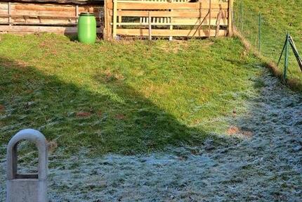 Wohnung Polle - 4 Zimmer, 100 m&sup2;, 1.300&euro; | Angebot:25045191