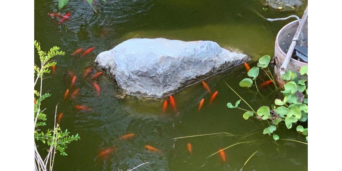 Wohnen auf Zeit Neu-Ulm Ludwigsfeld - 14 Zimmer, 250 m&sup2;, 15&euro; | Angebot:26014536