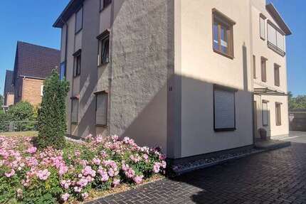 Wohnung zum Mieten in Neubrandenburg 1.125 € 125 m² 4 zimmer