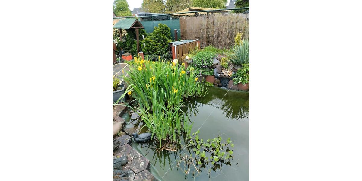 drei Zimmer Wohnung 3 zimmer