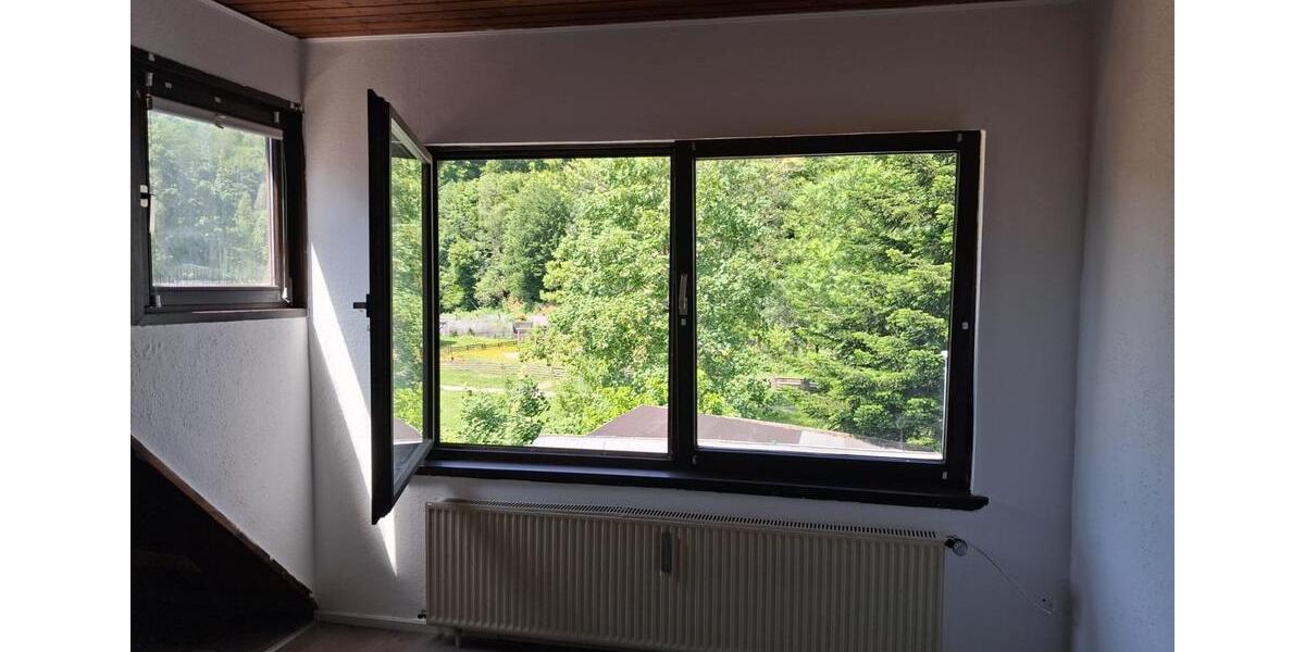 Balkonwhg in Wieda,2 Zi,Waldblick,am Bach,Blick ins Gruene 2 zimmer