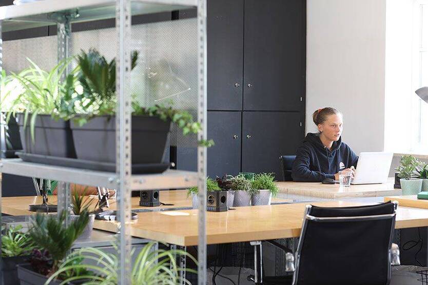 Das Dachwerk - Work- und Eventspace im Glockenbachviertel - All-in-Miete