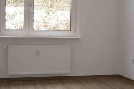 Wohnung Lüdenscheid Staberg - 2 Zimmer, 46 m&sup2;, 336&euro; | Angebot:25143089