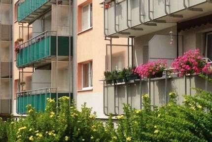 Wohnung zum Mieten in Eberswalde 520 € 61.25 m² 3 zimmer