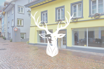 Gewerbeobjekt Waldshut-Tiengen Tiengen - 980&euro; | Angebot:24527108