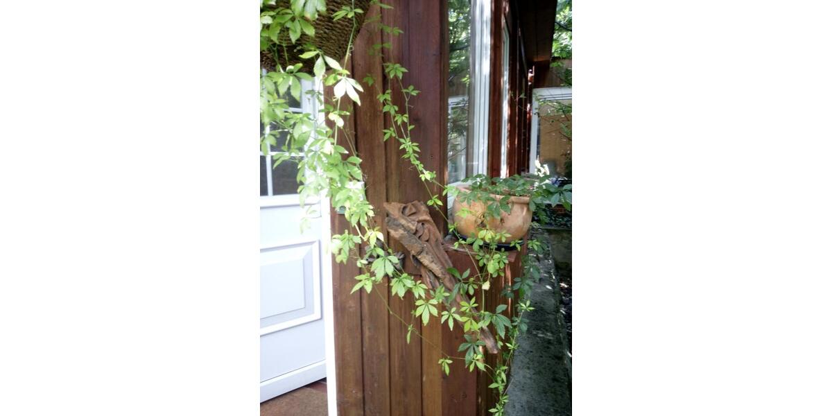 Einfamilienhaus Moritzburg - 2 Zimmer, 78 m&sup2;, 1.800&euro; | Angebot:24835471