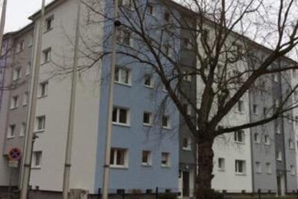 Ihr neues Zuhause: ansprechendes 1-Zimmer-Appartment 1 zimmer