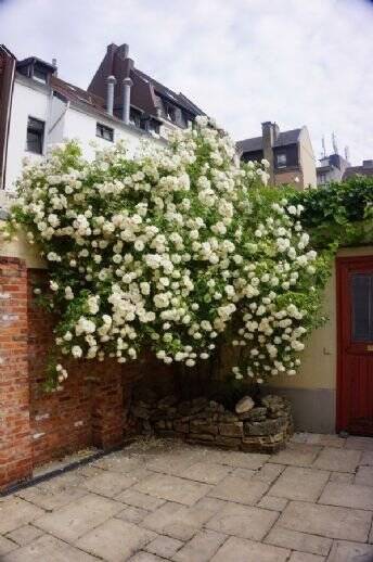 Mehrfamilienhaus, Wohnhaus Saarbrücken St Johann - 3 Zimmer, 150 m&sup2;, 1.400&euro; | Angebot:26190671