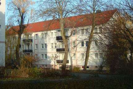 Wohnung Crinitz - 2.5 Zimmer, 60 m&sup2;, 387&euro; | Angebot:27167354