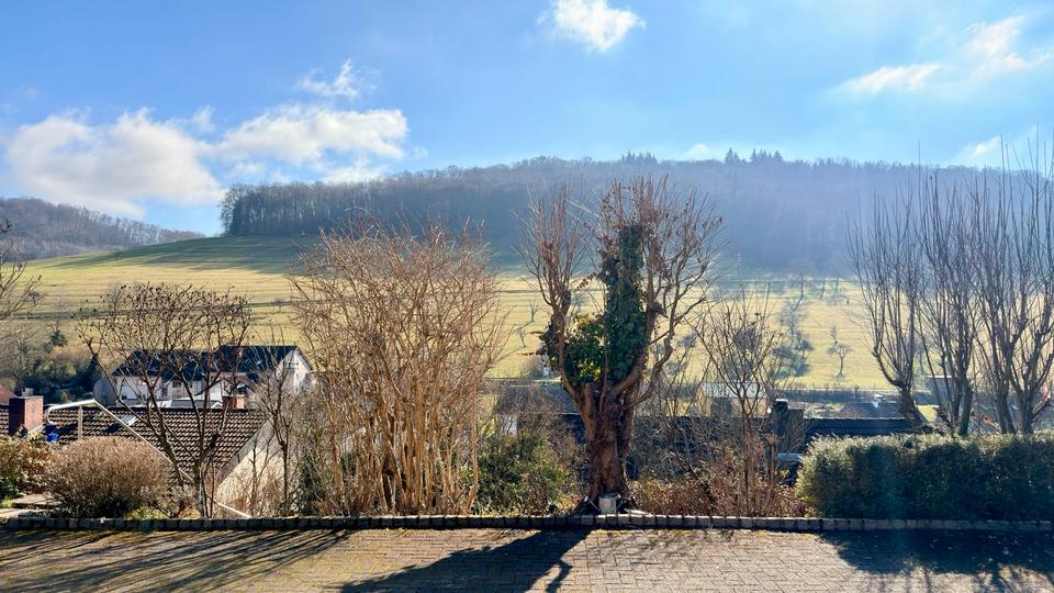 Wohnen auf Zeit Lörrach Brombach - 1 Zimmer, 23 m&sup2;, 66&euro; | Angebot:25088487