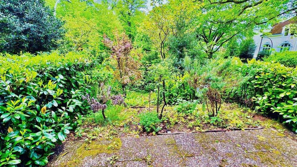 Terrassenwohnung Hamburg Blankenese - 2 Zimmer, 58 m&sup2;, 1.190&euro; | Angebot:26723266
