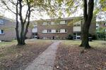 Erdgeschoßwohnung Gelsenkirchen Gelsenkirchen-Nord - 2.5 Zimmer, 45 m&sup2;, 610&euro; | Angebot:26617934