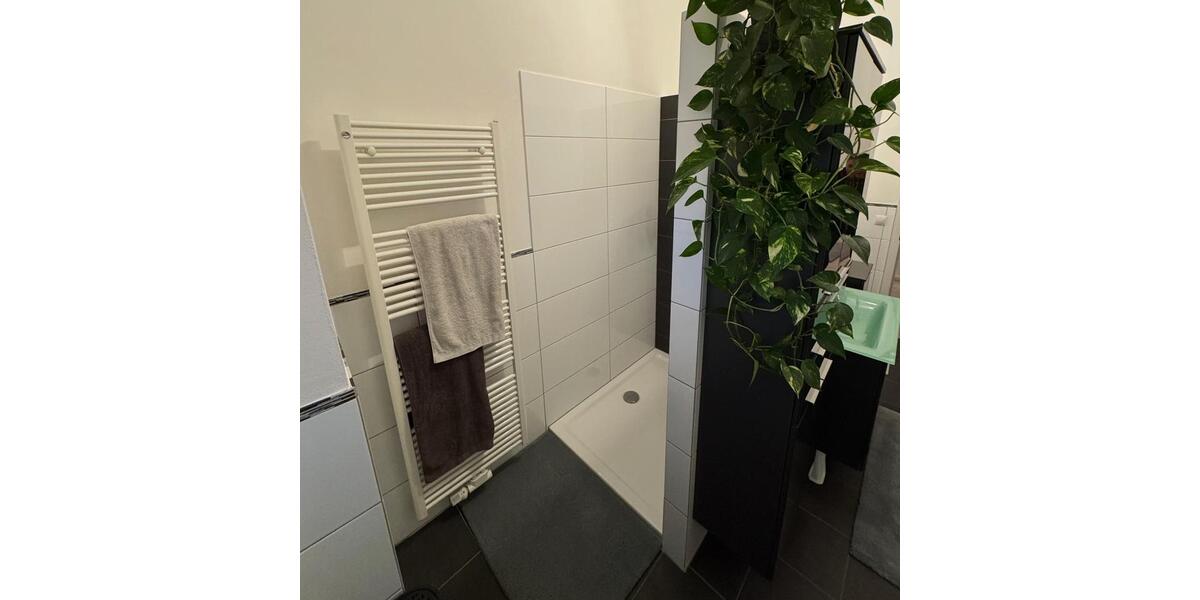 Exklusive Penthousewohnung mit Balkon, Garage & hohen Decken in Edenkoben 3 zimmer