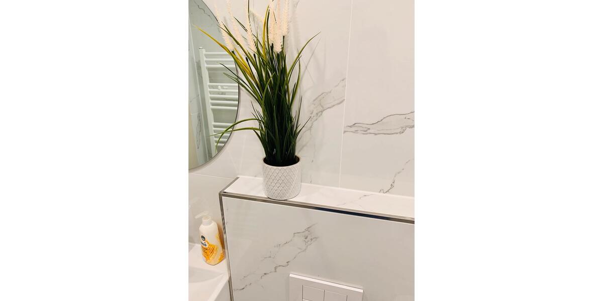 Etagenwohnung Homburg - 1 Zimmer, 28 m&sup2;, 800&euro; | Angebot:26412247