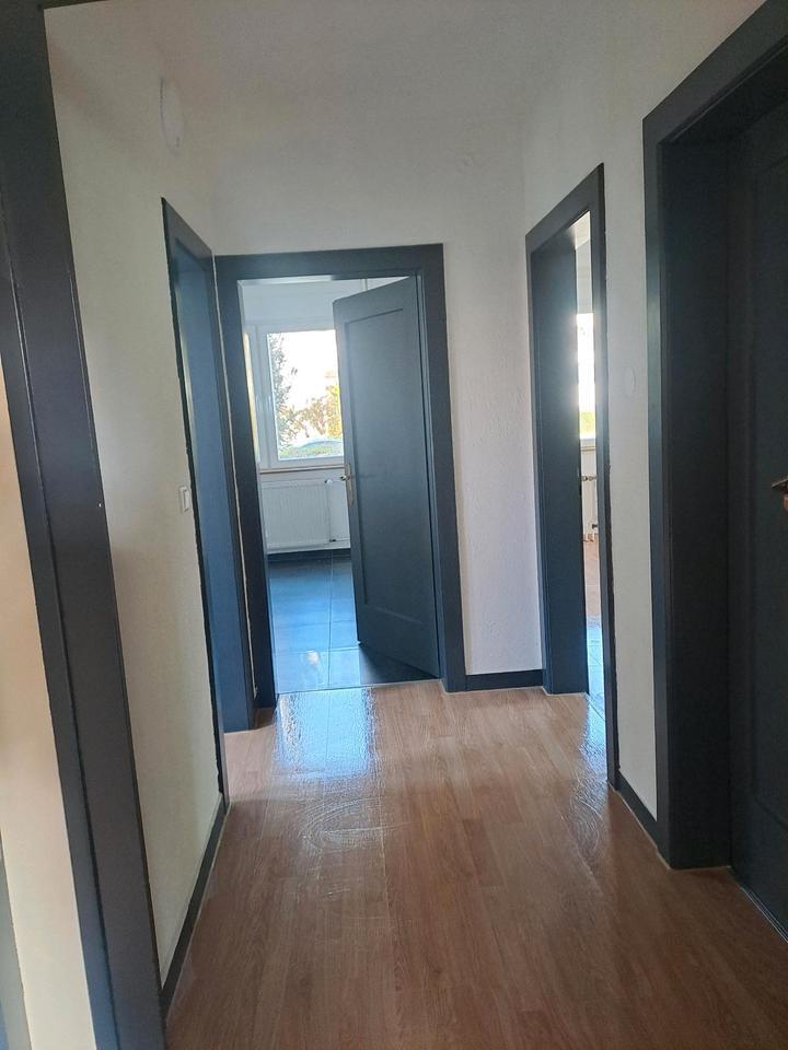2 Zimmer Wohung Zentral zimmer