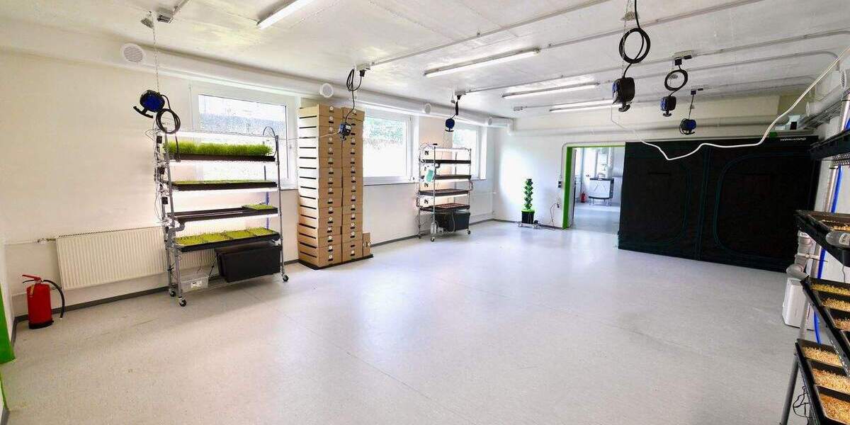 Über 2 Etagen - EG und UG mit Rampe und Garage - ProduktionBüroLagerAusstellungVerkauf zimmer