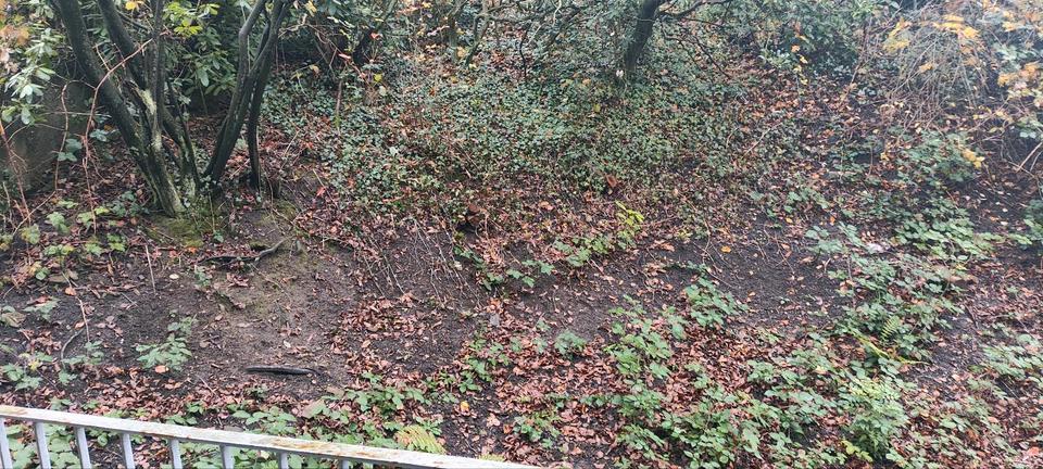 Sehr schöne 1,5 Wohnung mit Balkon ab 01.01.2026 zimmer