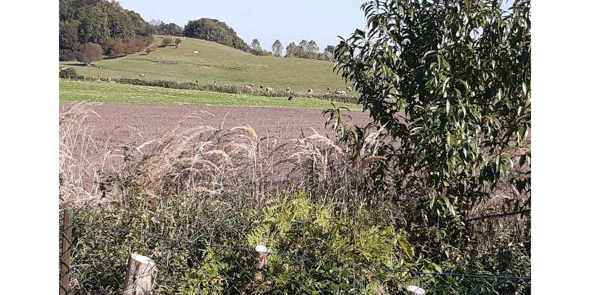 Erdgeschoßwohnung Teterow - 2 Zimmer, 42 m&sup2;, 425&euro; | Angebot:24980831